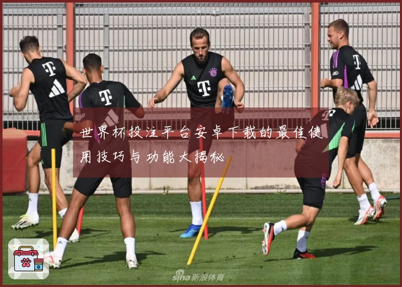 世界杯投注平台安卓下载的最佳使用技巧与功能大揭秘