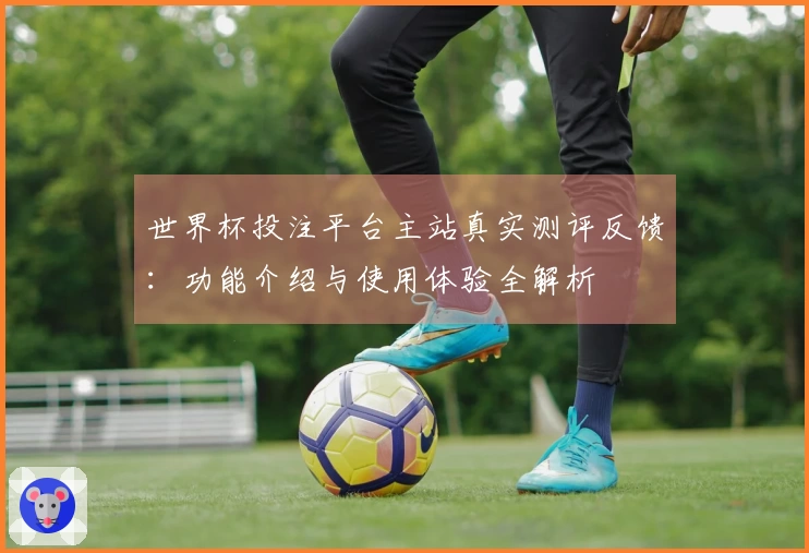 世界杯投注平台主站真实测评反馈：功能介绍与使用体验全解析