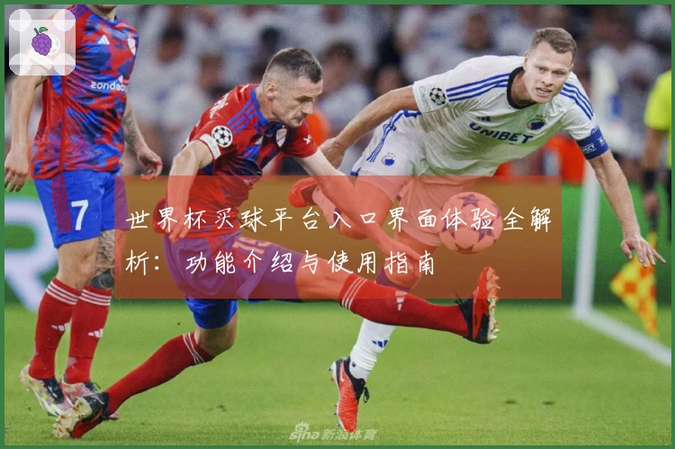 世界杯买球平台入口界面体验全解析：功能介绍与使用指南