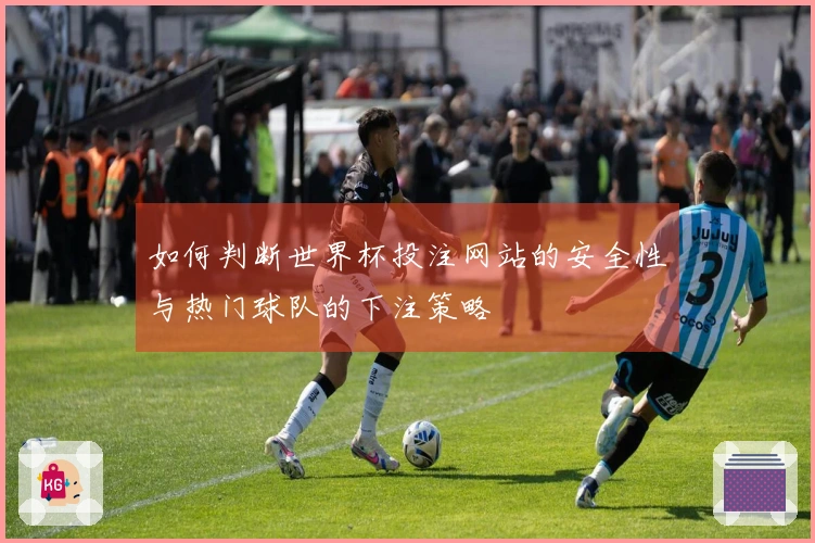 如何判断世界杯投注网站的安全性与热门球队的下注策略