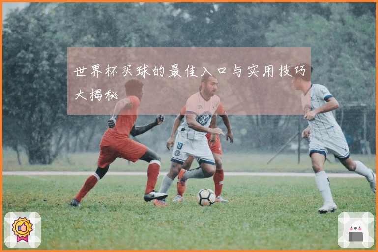 世界杯买球的最佳入口与实用技巧大揭秘