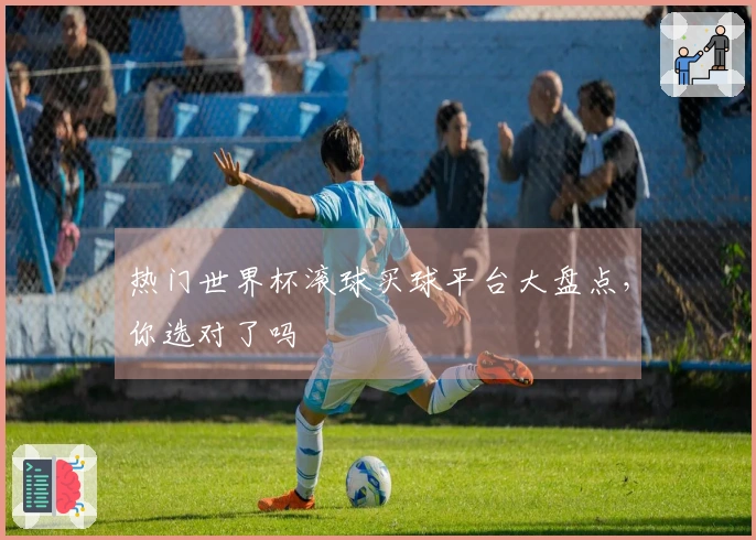 热门世界杯滚球买球平台大盘点,你选对了吗