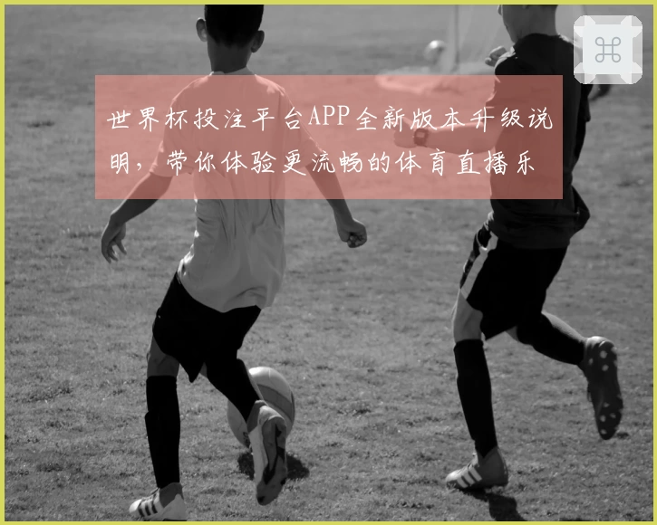 世界杯投注平台APP全新版本升级说明，带你体验更流畅的体育直播乐趣