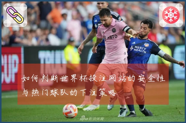 如何判断世界杯投注网站的安全性与热门球队的下注策略