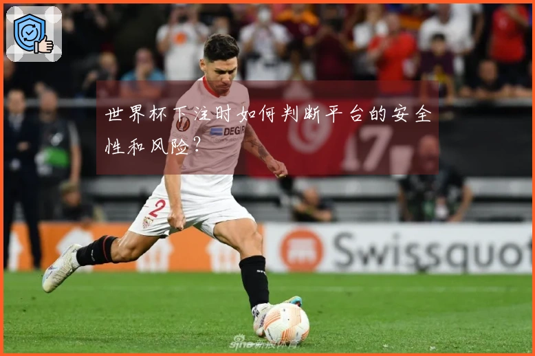 世界杯下注时如何判断平台的安全性和风险?