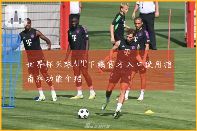 世界杯买球APP下载官方入口使用指南和功能介绍