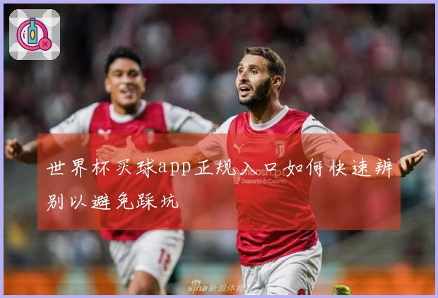 世界杯买球app正规入口如何快速辨别以避免踩坑