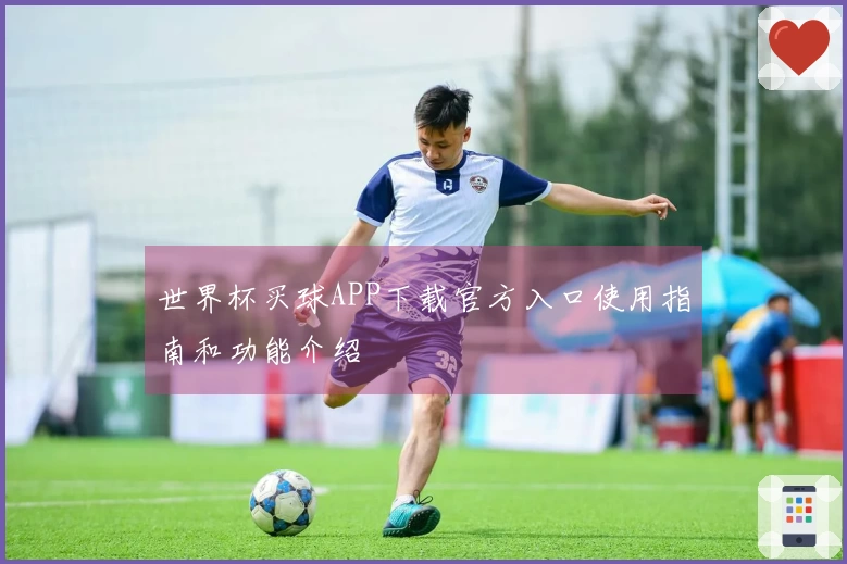世界杯买球APP下载官方入口使用指南和功能介绍