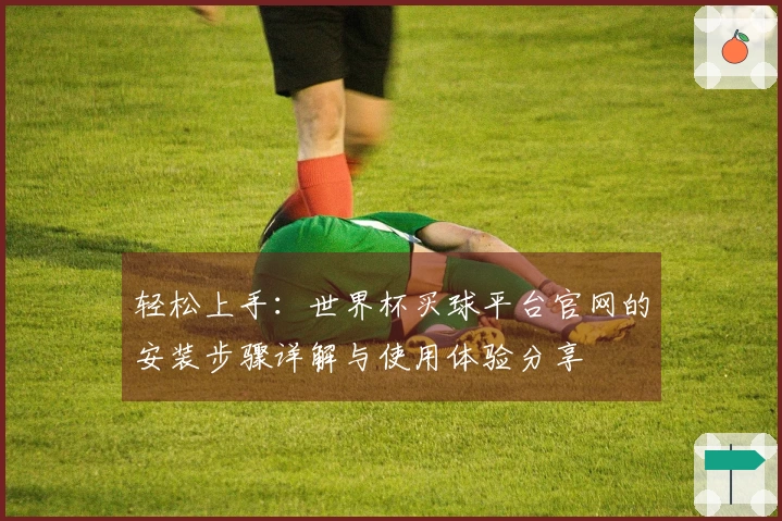 轻松上手：世界杯买球平台官网的安装步骤详解与使用体验分享