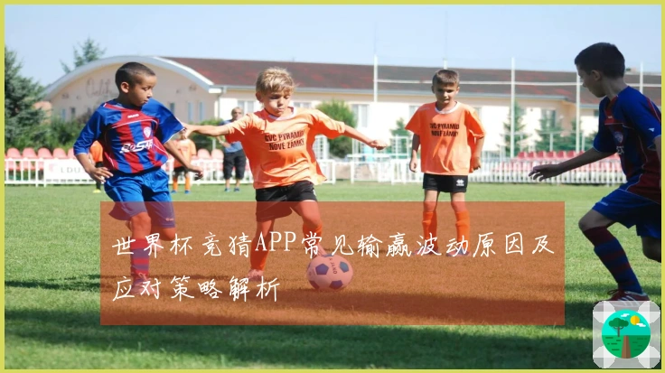 世界杯竞猜APP常见输赢波动原因及应对策略解析